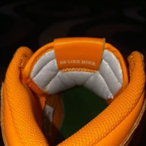 Gatorade Air Jordan (women)